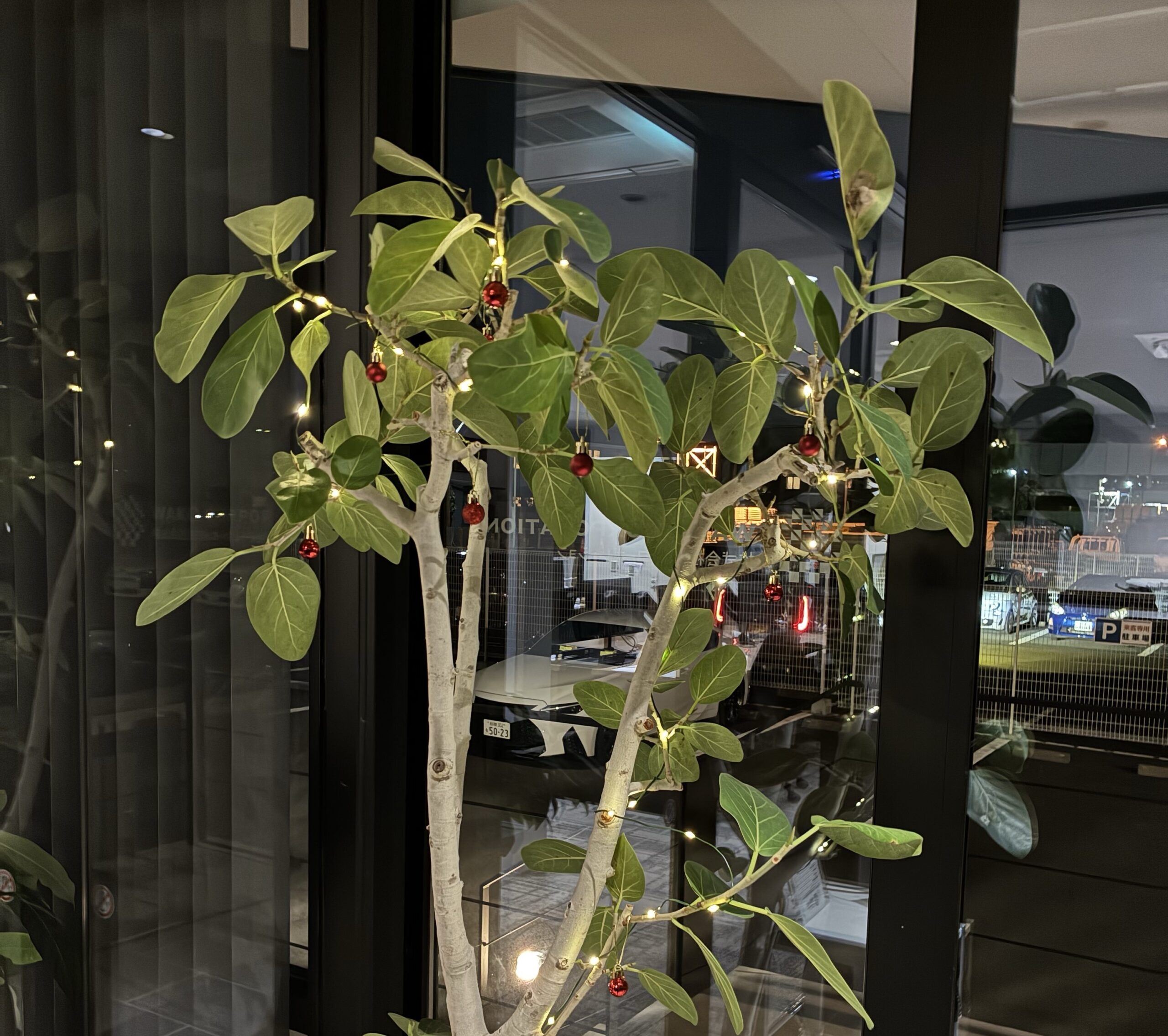 ワコーコーポレーション,クリスマスツリー,クリスマス,年末,挨拶,玄関